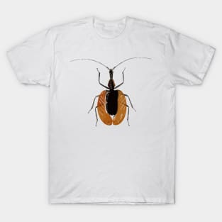 Violin Beetle Digital Painting T-Shirt